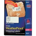 Avery Dennison LABEL, WETHRPRF, WH, 500PK 5523